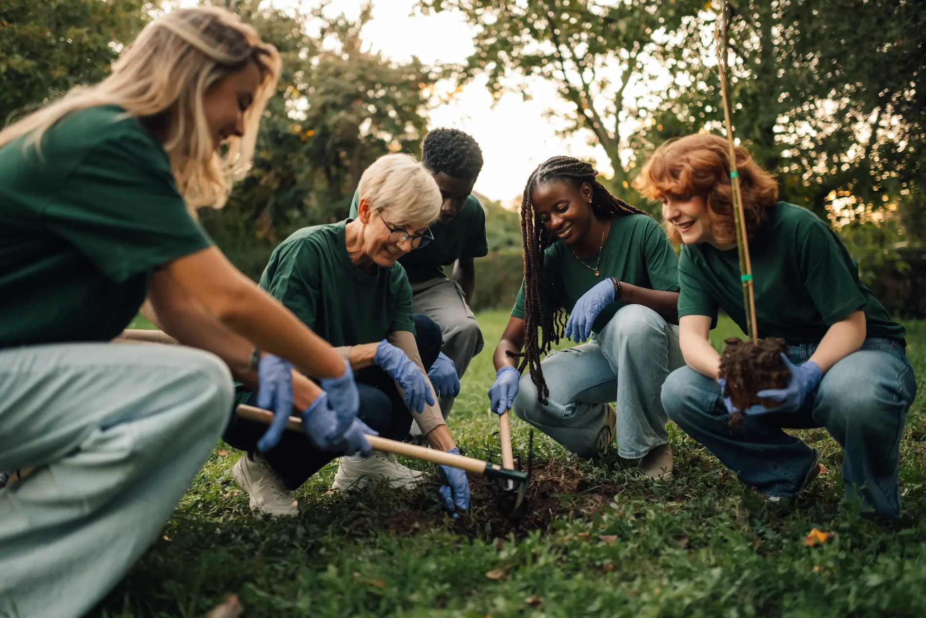 Group of volunteers planting a tree in the park utc