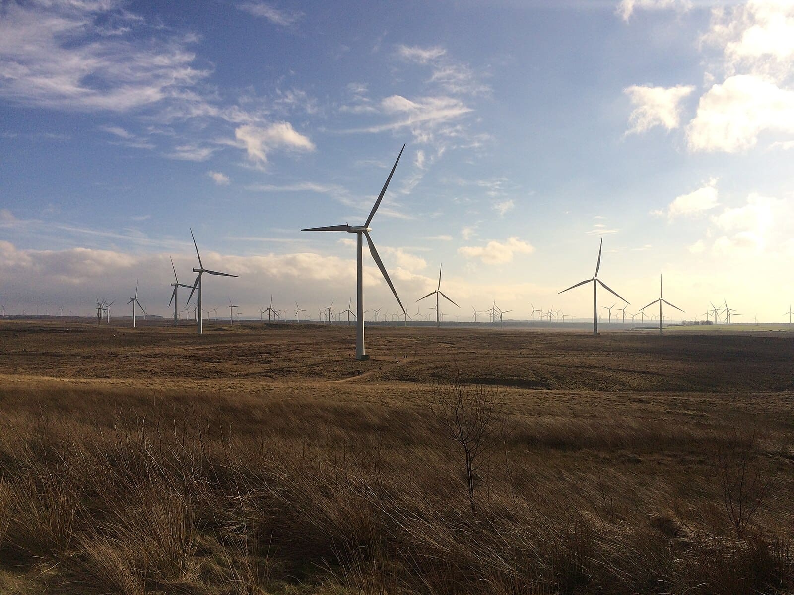 Whitelee wind farm turbines